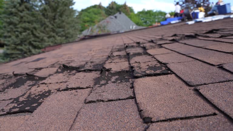 Best Gutter Installation and Repair  in Mount Healthy, OH
